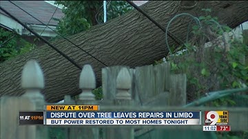 Storm damage: Fallen tree leaves power line repairs in limbo