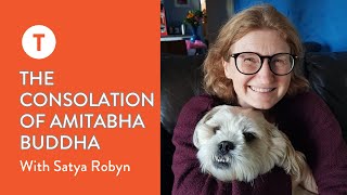 The Consolation of Amitabha Buddha with Satya Robyn