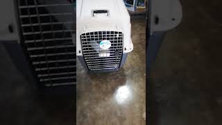 Kennel Transportador talla L90  para perros grandes con comedero