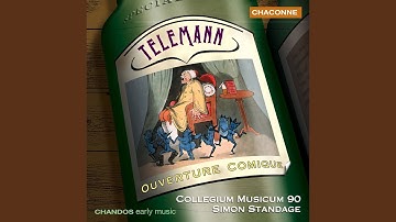 Concerto in E Minor for Recorder, Flute and Strings, TWV 52.e1: I. Largo