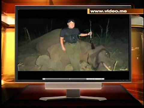 Βίντεο: Go Daddy Founder Under Fire For Killing Elephant