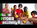 Fill the Pitcher Challenge| The Tweedie Family #familychallenge