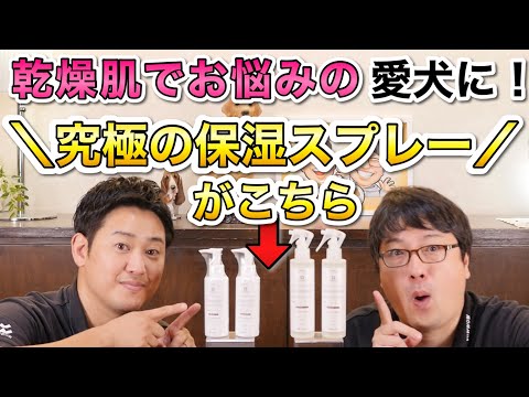 【乾燥肌の愛犬に！】高濃度セラミド保湿スプレー＆ジェルをペットショップ店長が解説します！