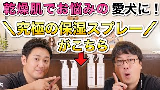 【乾燥肌の愛犬に！】高濃度セラミド保湿スプレー＆ジェルをペットショップ店長が解説します！