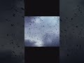 SONG: ESSIMOU - HYSTERIA  crimmees #edit #video #weirdcore #ashesofpripyat #music #shorts #fyp #song