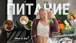 видео: ДНЕВНИКИ ПИТАНИЯ || тренировки, похудение, рецепты, с чего начать картинка: ДНЕВНИКИ ПИТАНИЯ || тренировки, похудение, рецепты, с чего начать