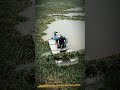 High Efficiency 2.5-Meter Amphibious Weed Harvester for Aquatic Vegetation Removal #heavyequipment