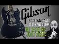 Gibson SG Standard - Clean 'n' Setup (No Talking)