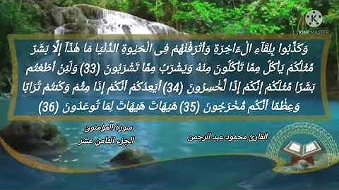 سورة المؤمنون بصوت القارئ | محمود عبد الرحمن