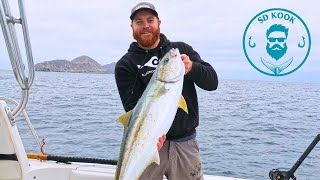 Fishing for California Yellowtail at the Coronado Islands