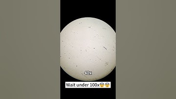 Cucumbers look really beautiful magnified 400 times under a microscope!！#microscope #shorts