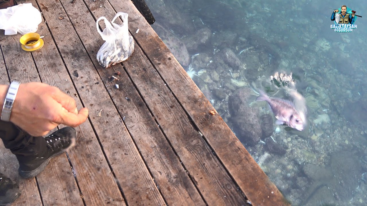 EN UCUZ OLTA İLE LİMAN'DA MUAZZAM BALIKLAR!!
