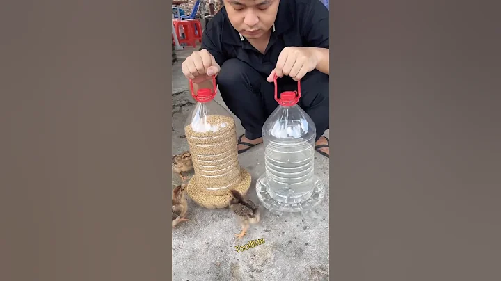 Homemade Chicken Feeder & Drinker from Plastic Bottles – Budget-Friendly Poultry Hack