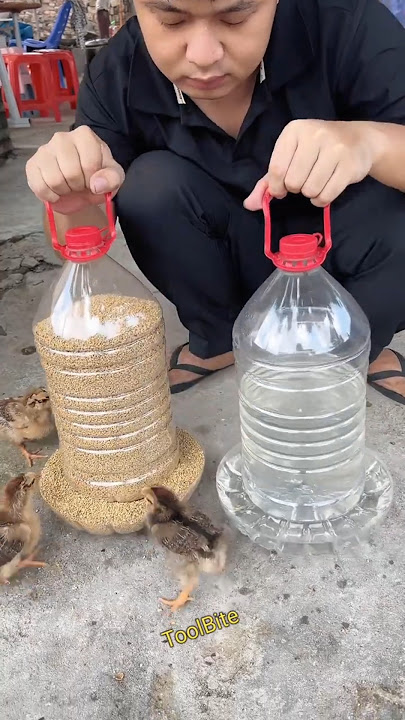Homemade Chicken Feeder & Drinker from Plastic Bottles – Budget-Friendly Poultry Hack