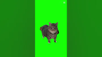 او اي اي اه اي او اي اي اء 