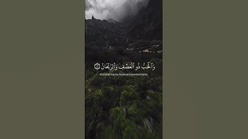 تلاوة هادئة تريح الأعصاب 😴😴❤|سورة الرحمن | اسلام صبحي