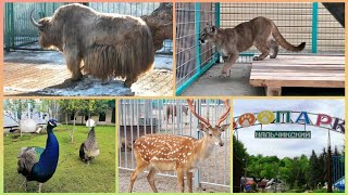 Кабардино-Балкария🐯 Зоопарк в Нальчике