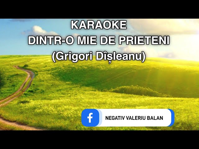Grigori Dîșleanu - Dintr-o mie de prieteni (KARAOKE) class=