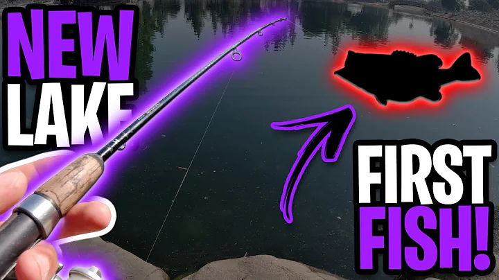 First Time Fishing Seccombe Lake! | June 2021