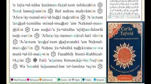 ختمة من مصحف التجويد باللغة الاسبانية الصفحة رقم 536
