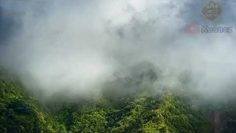 تلاوة هادئه للقارئ عبدالله الخلف