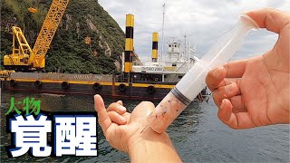 【大物覚醒】注射器にエビを入れ堤防からぶっ込んだら速攻凄いの連発してきて驚いた・・・