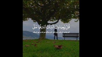 سوره الزمر با ترجمه فارسی ||    Surah Az-Zumar with farsi translation