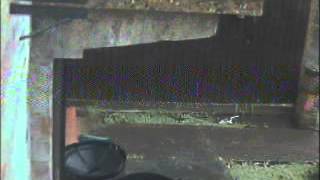 David Marks Asks "Do You Know This Man??"