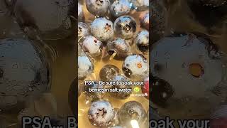 American Was Told To Soak Her Blueberries In Salt Water. Doing So Would Make Larvae Appear