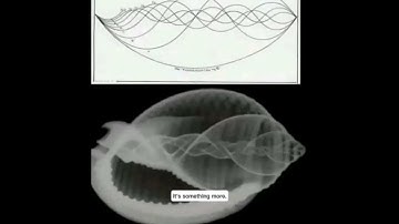 "Pythagoras’ Harmonic Series & Indian Raaga: Exploring Music