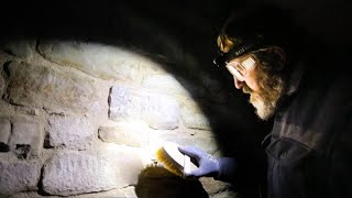 Download Lagu We hebben het niet gehaald MP3