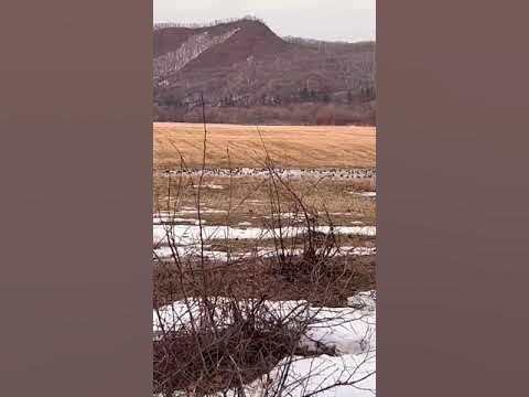 Нельзя кидать камни в лицо - YouTube