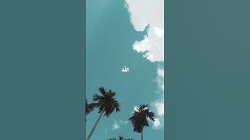 تلاوة خاشعه للقرأن الكريم بصوت الشيخ غلي جابر #قران_كريم #قرآن #تلاوة_خاشعة #quran #اكسبلور #تيك_توك