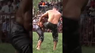 Turkish wrestling #wrestling #oilwrestling #mudwrestling