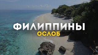 ФИЛИППИНЫ, ОСТРОВ СЕБУ, ОСЛОБ 2023 ПОТРЯСАЮЩИЕ ВОДОПАДЫ И ПЛАВАНИЕ С АКУЛАМИ. ШОК ЭМОЦИИ ЗАШКАЛИВАЮТ