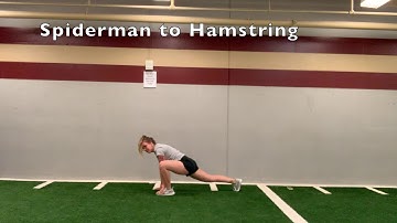 Spiderman to Hamstring
