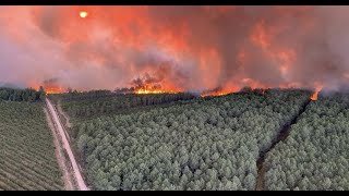 Gironde : près de 1.000 hectares de forêt brûlés dans deux incendies en cours