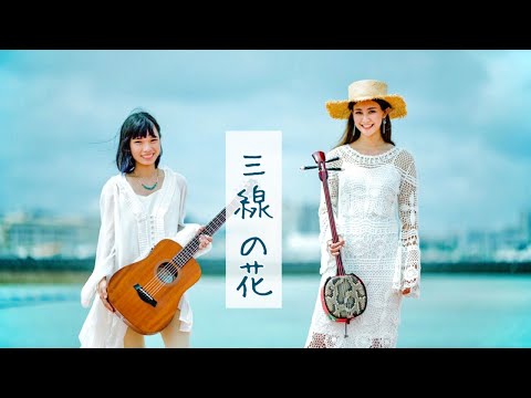 【三線の花】BEGIN（cover by.いーどぅし）