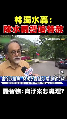 「害慘民進黨」林濁水轟:陳水扁憑啥特赦｜TVBS新聞