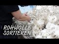 Rohwolle sortieren