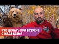 В Оренбургской области стало больше медведей. Как себя вести при встрече с хищником?