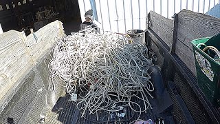 Cashing In On A Mountain Of Cat Wire At The Scrap Yard