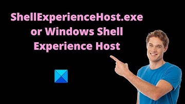 ShellExperienceHost.exe or Windows Shell Experience Host in Windows 11