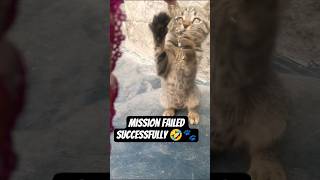 Mission Failed Successfully