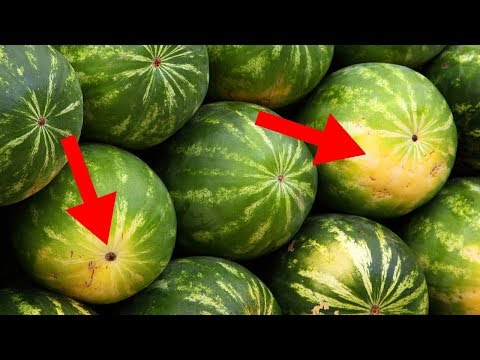 Video: Wie Wählt Man Eine Gute Melone?