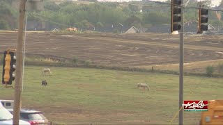 The dry conditions continue for much of KELOLAND