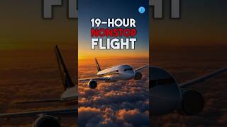 19 Hours in a Plane: Is it worth it? | Aviation Geeks