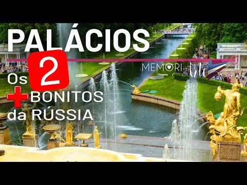 Vídeo: Como Se Inscrever Em Um Jardim De Infância Em São Petersburgo