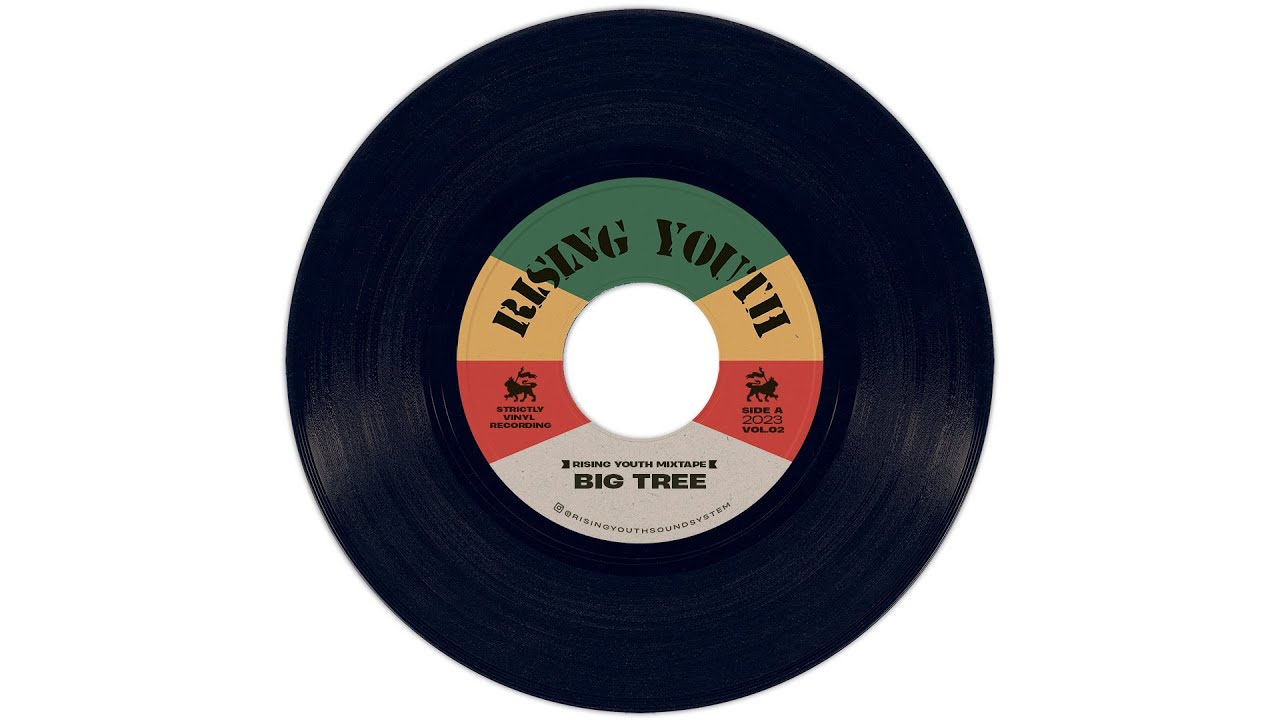 Big Tree - Reggae Dub Selection [Rising Youth Mixtape Vol. 2]