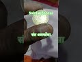 5 rupees coin of saint alphonsa